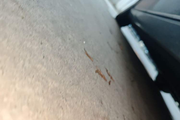 Used Mercedes-Benz E-Class 2015 E 260 L Chassis Front Right
