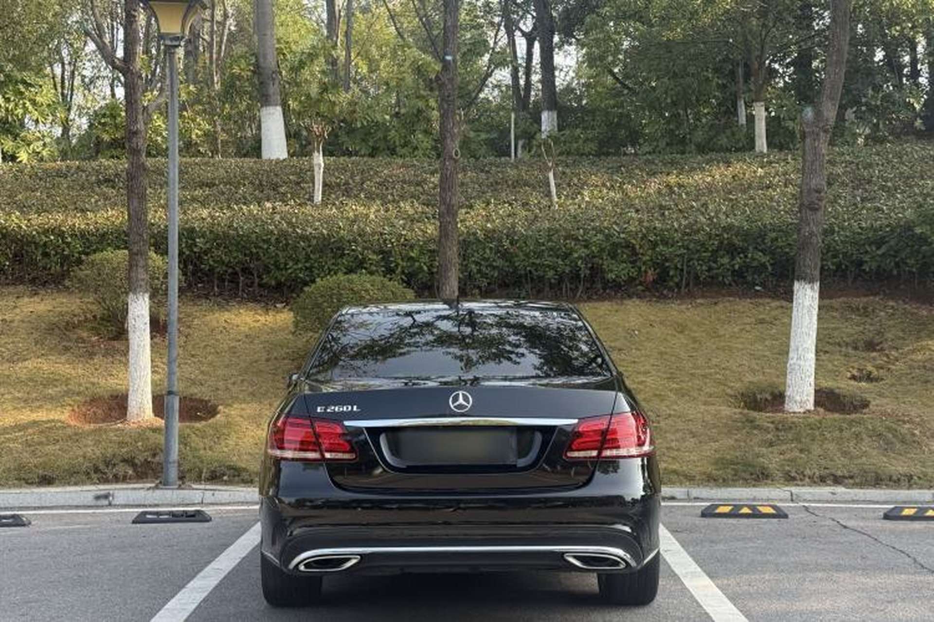 Used Mercedes-Benz E-Class 2015 E 260 L Sport Edition Exterior 5
