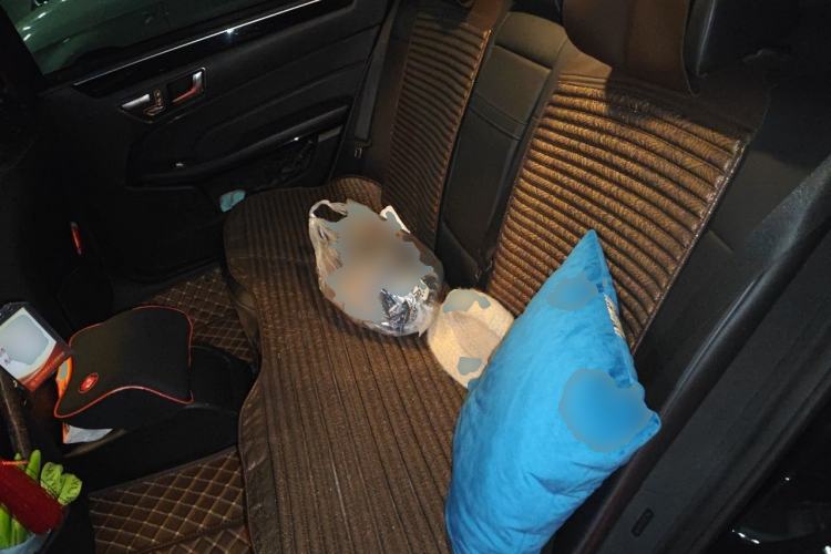 Used Mercedes-Benz E-Class 2015 Restyled E 260 L Sport Edition Left Rear Seat