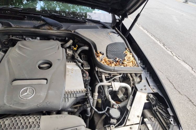 Used Mercedes-Benz E-Class 2016 E 200 L Sport Edition Engine Bay Left