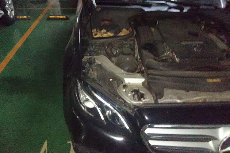 Used Mercedes-Benz E-Class 2016 E 200 L Sport Edition Engine Bay Right