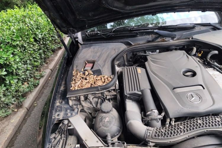 Used Mercedes-Benz E-Class 2016 E 200 L Sport Edition Engine Bay Right