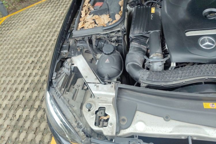 Used Mercedes-Benz E-Class 2016 E 200 L Engine Bay Right