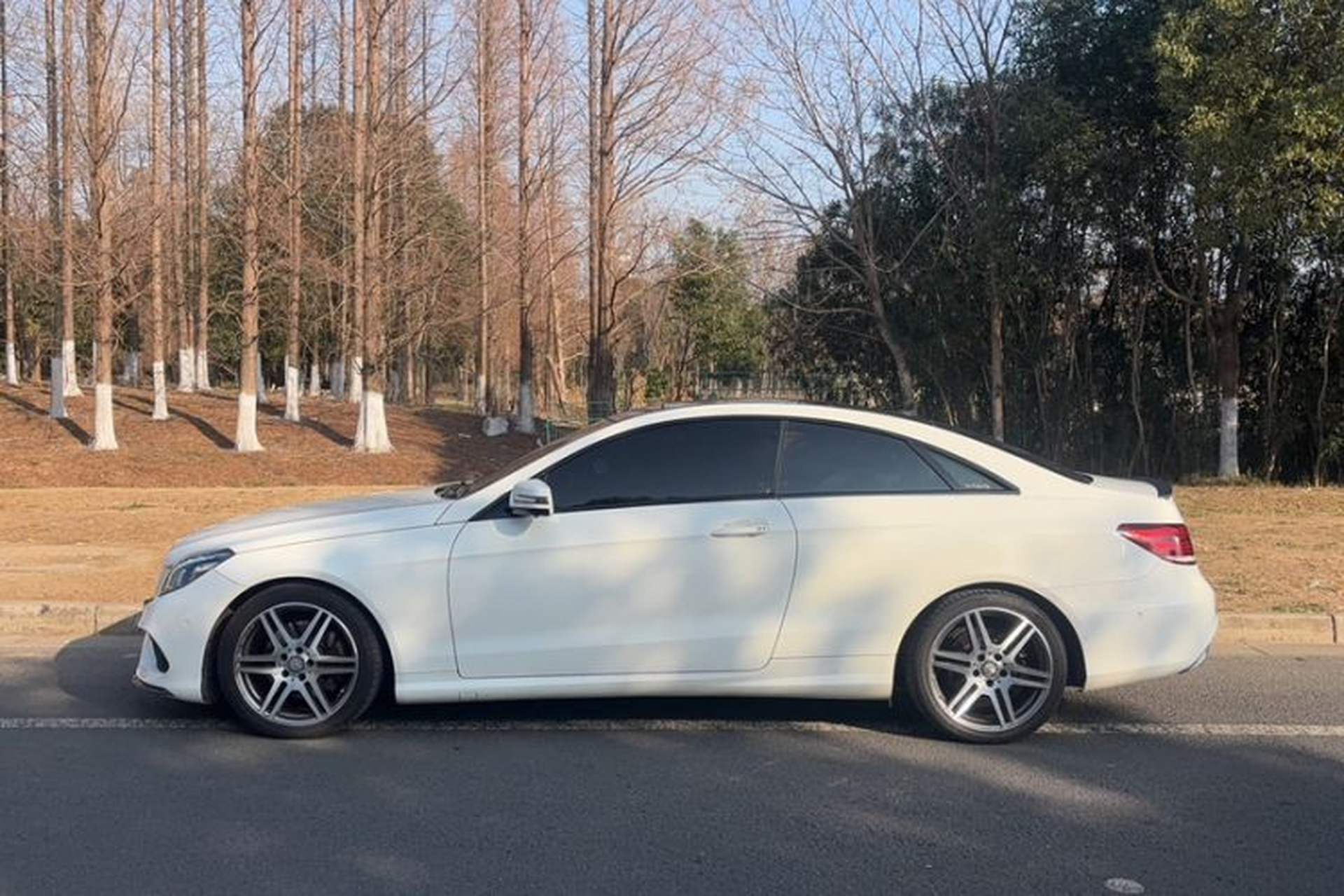 Used Mercedes-Benz E-Class 2016 E 260 Coupe Dynamic Edition Exterior 11