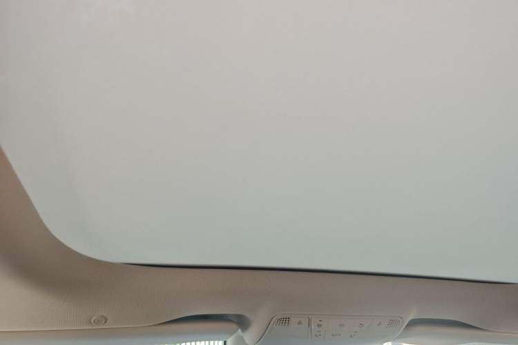 Used Mercedes-Benz E-Class 2016 E 300 L Sport Luxury Model Headliner