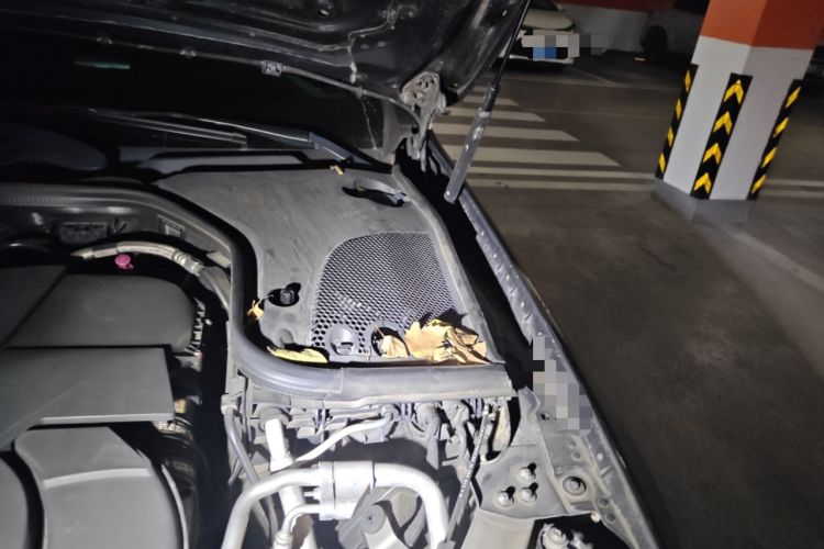 Used Mercedes-Benz E-Class 2017 E 320 L 4MATIC Engine Bay Left