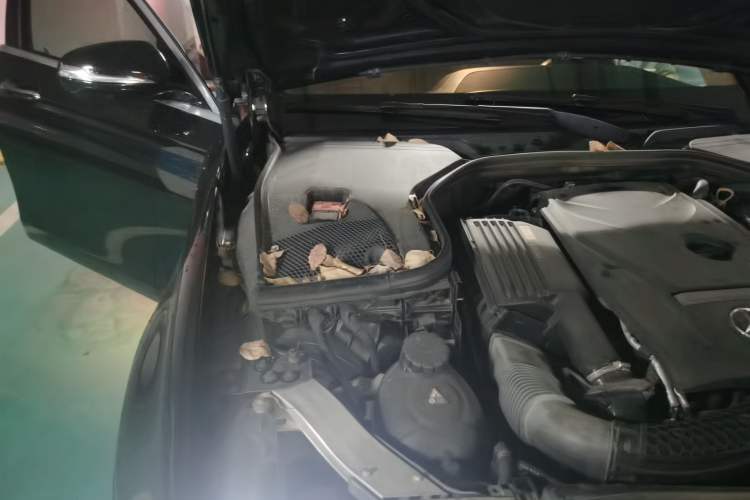 Used Mercedes-Benz E-Class 2017 E 300 L Sport Luxury Edition Engine Bay Right