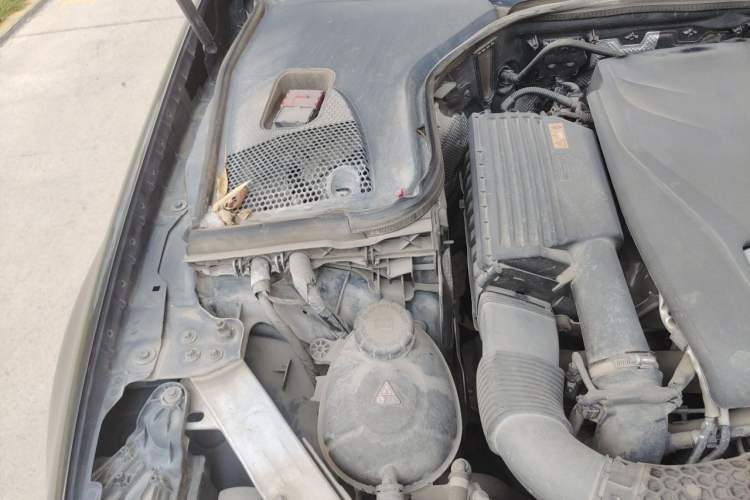 Used Mercedes-Benz E-Class 2017 E 300 L Luxury Model Engine Bay Right