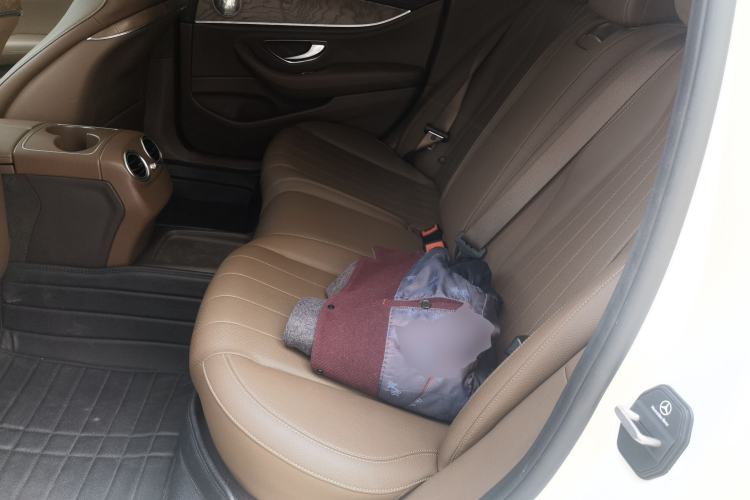 Used Mercedes-Benz E-Class 2017 E 300 L Luxury Model Left Rear Seat