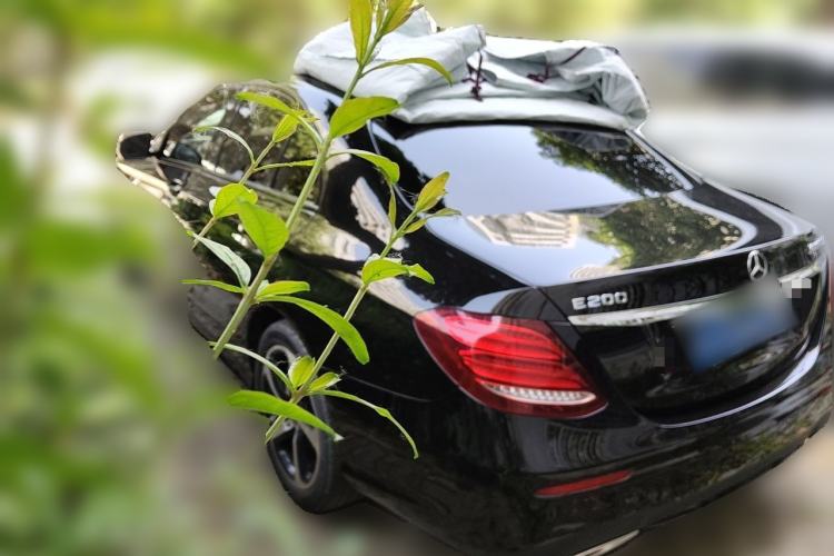 Used Mercedes-Benz E-Class 2017 E 200 Sport Rear Left 45 Deg