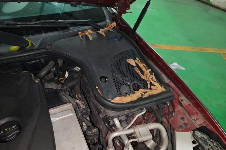 Used Mercedes-Benz E-Class 2017 E 200 Coupe Engine Bay Left