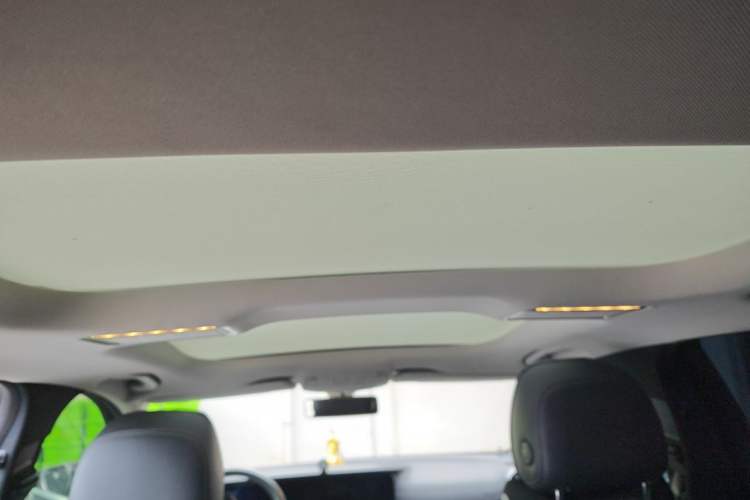 Used Mercedes-Benz E-Class 2018 Restyled E 300 L Sport Luxury Edition Headliner