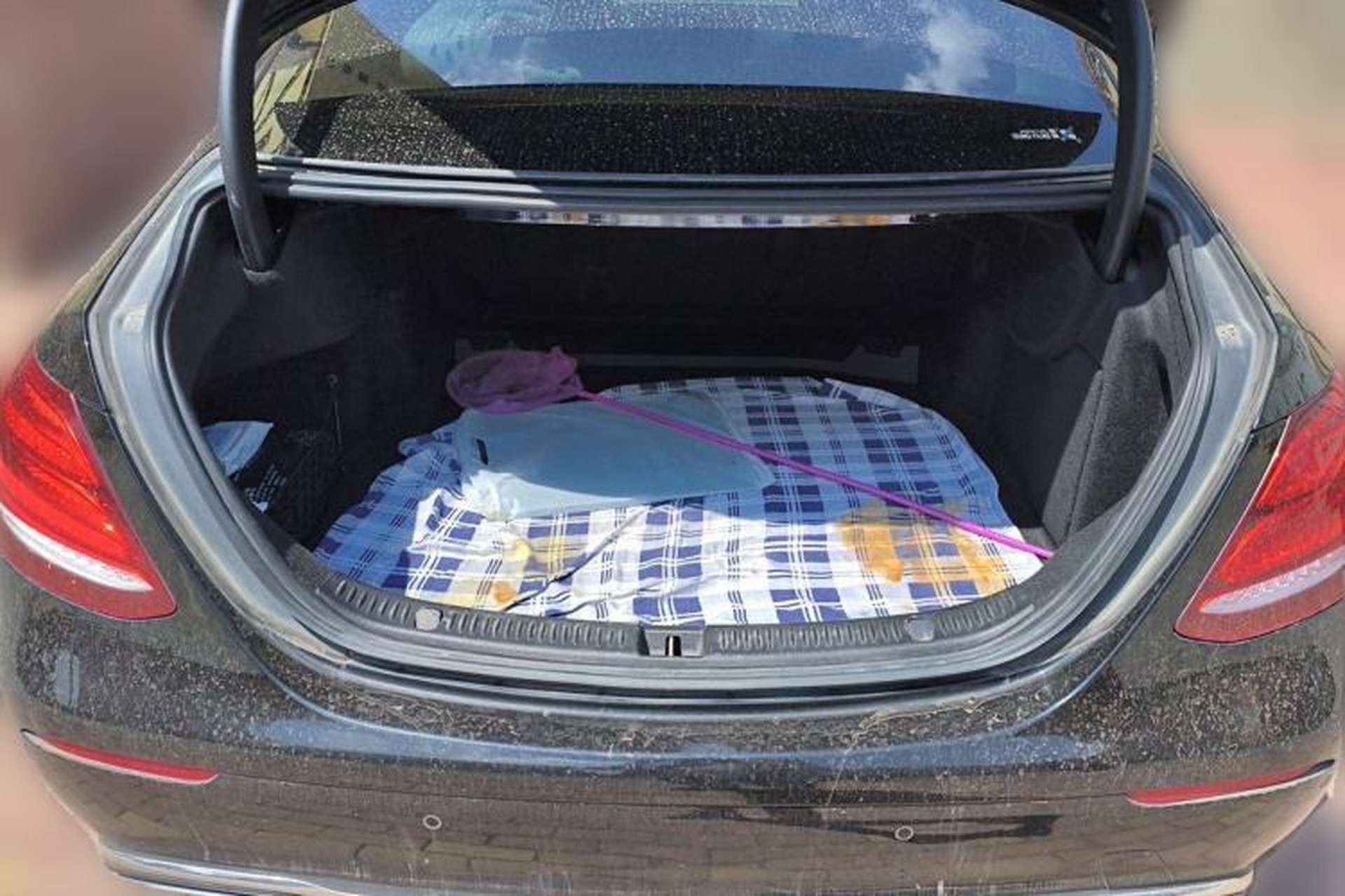 Used Mercedes-Benz E-Class 2018 E 200 L Trunk