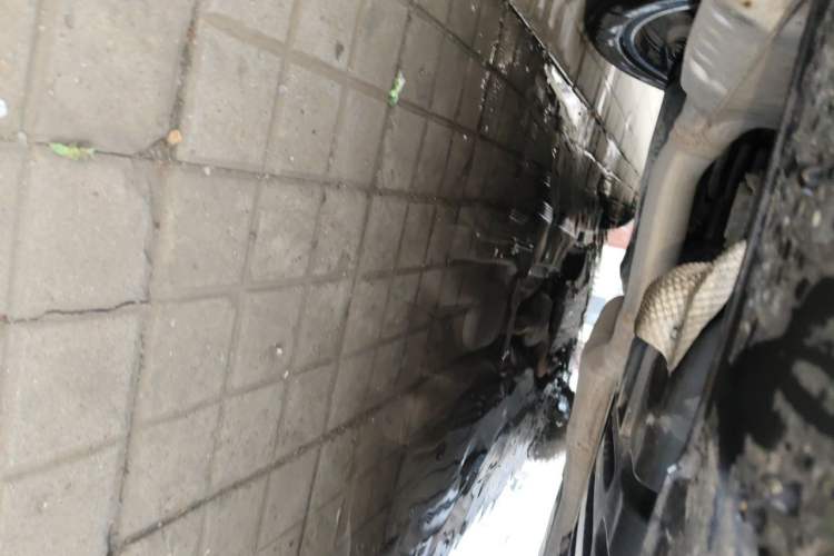 Used Mercedes-Benz E-Class 2019 E 300 L Luxury Model Chassis Rear
