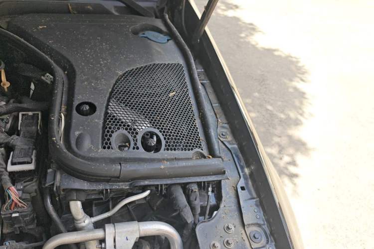 Used Mercedes-Benz E-Class 2019 E 300 L Sporty and Stylish Model Engine Bay Left