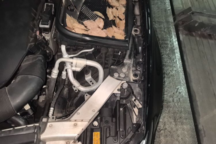 Used Mercedes-Benz E-Class 2019 Restyled E 300 L Sporty and Stylish Edition Engine Bay Left
