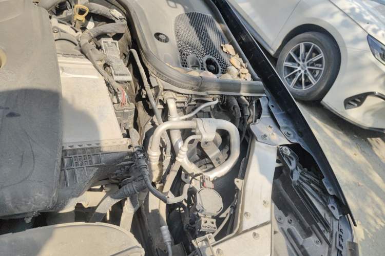 Used Mercedes-Benz E-Class 2019 E 300 L Sporty and Stylish Model Engine Bay Left