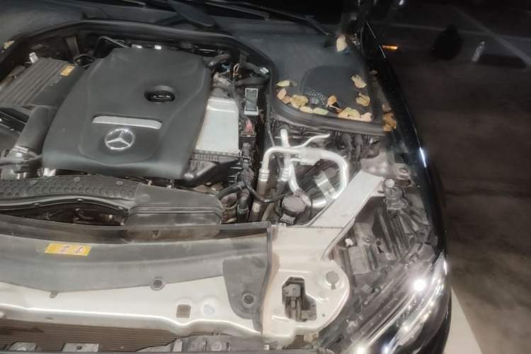 Used Mercedes-Benz E-Class 2019 E 300 L Luxury Model Engine Bay Left