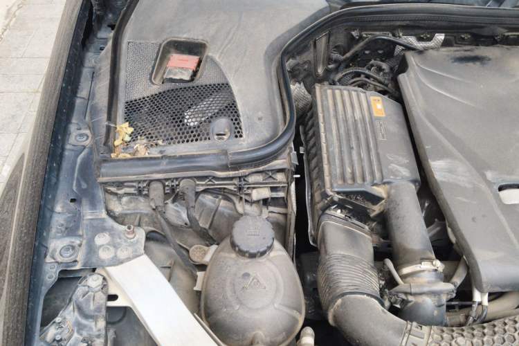 Used Mercedes-Benz E-Class 2019 E 200 L Sport Edition Engine Bay Right