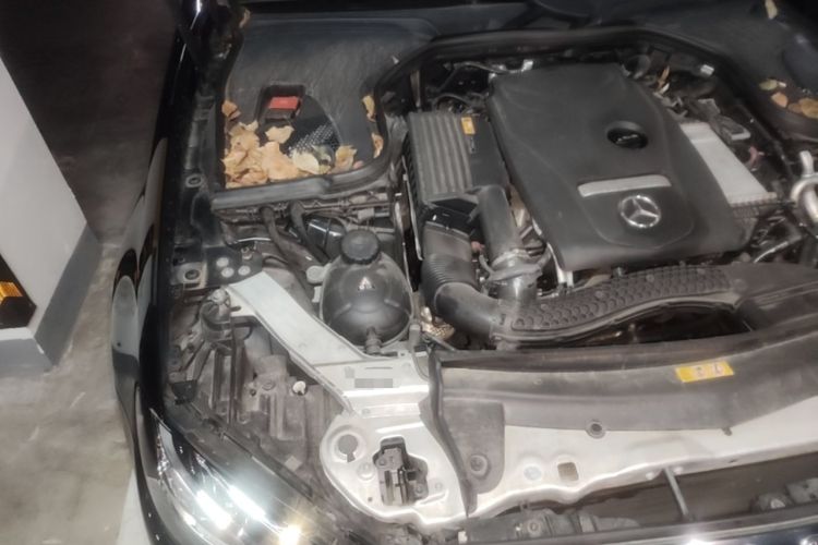 Used Mercedes-Benz E-Class 2019 E 300 L Luxury Model Engine Bay Right