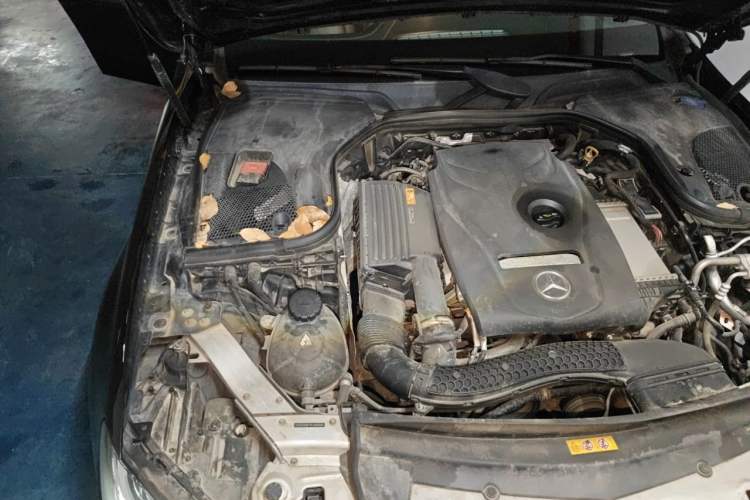 Used Mercedes-Benz E-Class 2019 E 300 L Sporty and Stylish Model Engine Bay Right