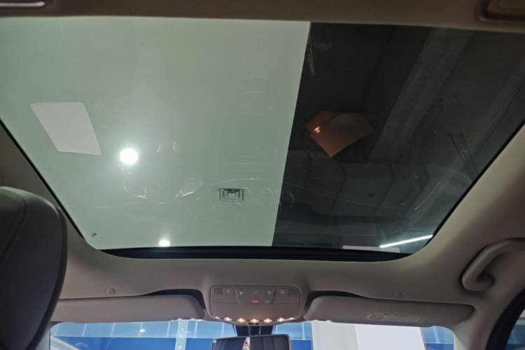 Used Mercedes-Benz E-Class 2019 E 300 L Sport Luxury Edition Headliner