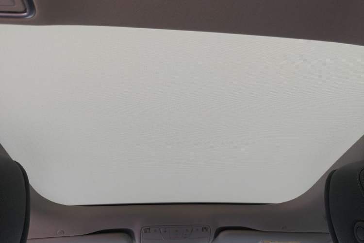 Used Mercedes-Benz E-Class 2019 E 300 L Luxury Model Headliner