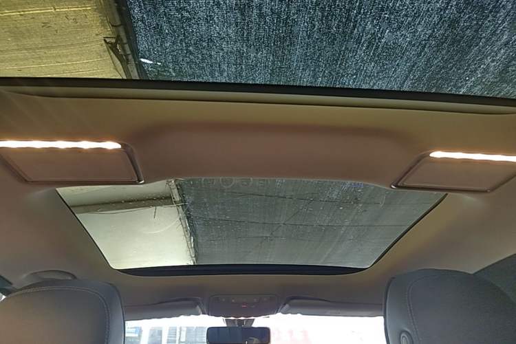 Used Mercedes-Benz E-Class 2019 Restyled E 300 L Sport Luxury Edition Headliner