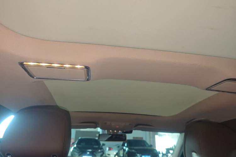 Used Mercedes-Benz E-Class 2019 E 300 L Luxury Model Headliner