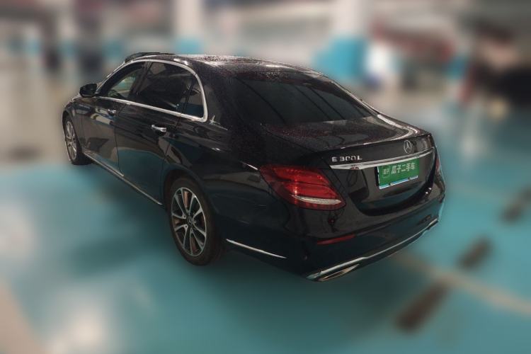Used Mercedes-Benz E-Class 2019 E 300 L Luxury Model Rear Left 45 Deg