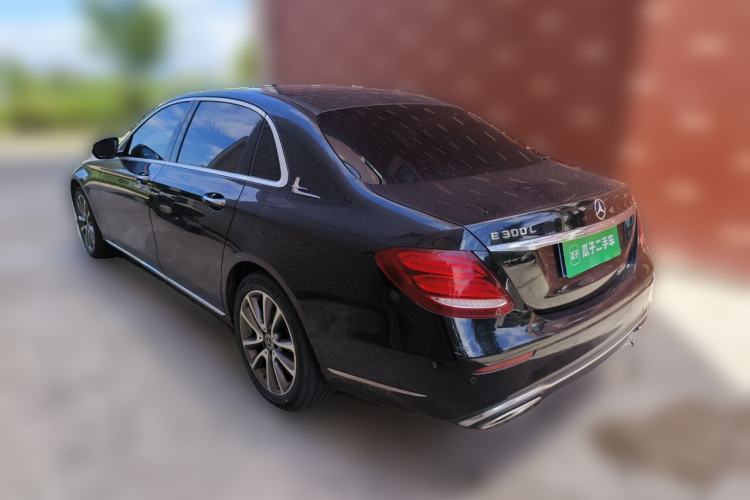 Used Mercedes-Benz E-Class 2019 Restyled E 300 L Luxury Edition Rear Left 45 Deg