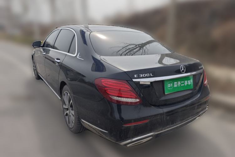 Used Mercedes-Benz E-Class 2019 Restyled E 300 L Luxury Edition Rear Left 45 Deg