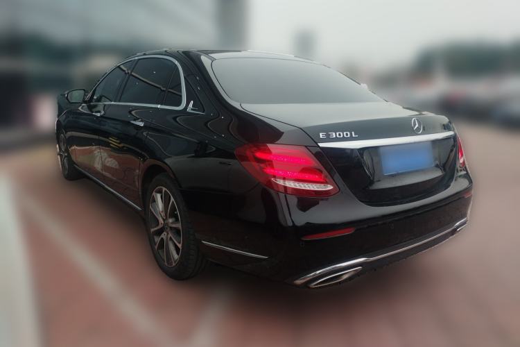 Used Mercedes-Benz E-Class 2019 E 300 L Luxury Model Rear Left 45 Deg
