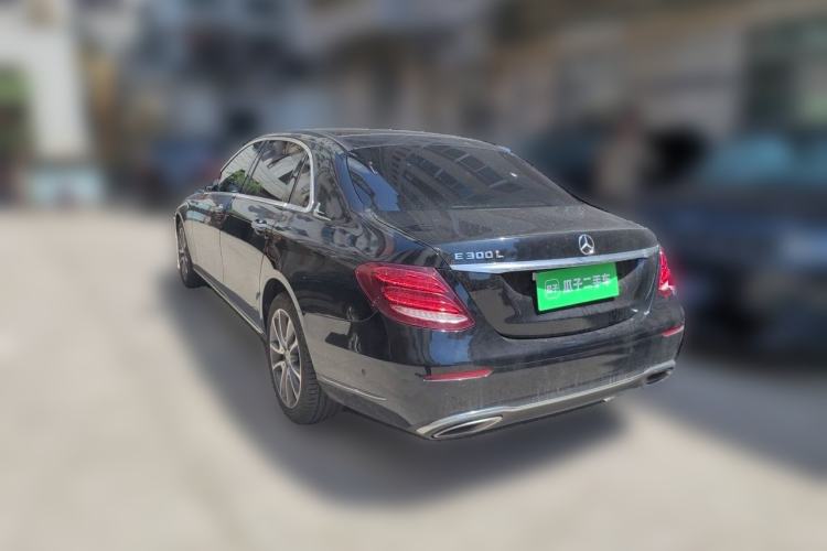 Used Mercedes-Benz E-Class 2019 E 300 L Luxury Model Rear Left 45 Deg