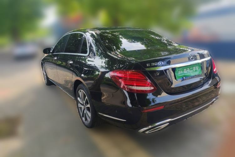 Used Mercedes-Benz E-Class 2019 Restyled E 300 L Luxury Edition Rear Left 45 Deg