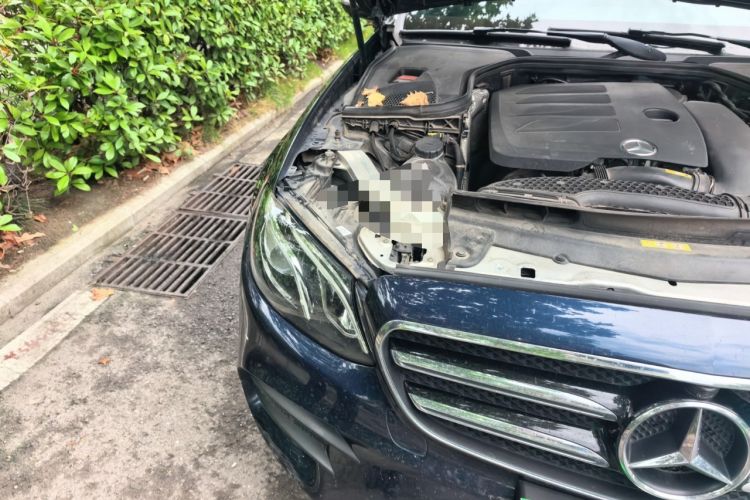 Used Mercedes-Benz E-Class 2019 E 260 Sport Edition Right Front Headlight