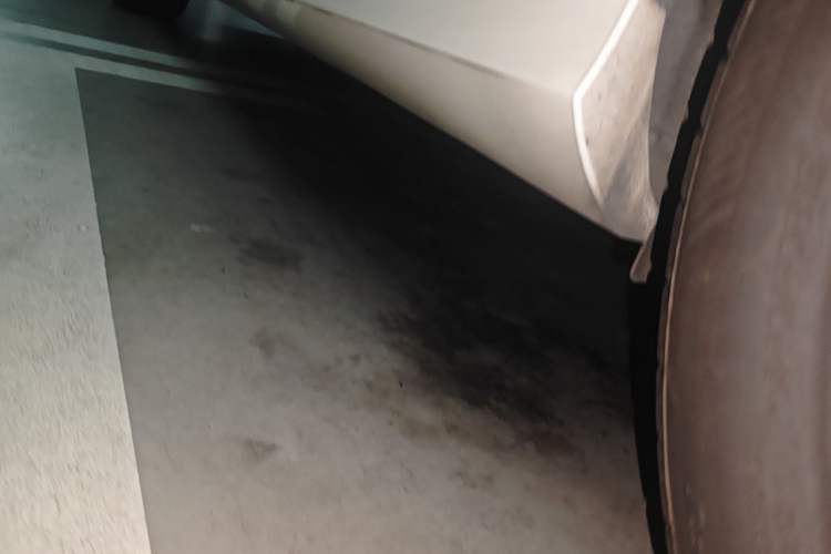 Used Mercedes-Benz E-Class 2019 E 260 Sport Edition Chassis Rear Left