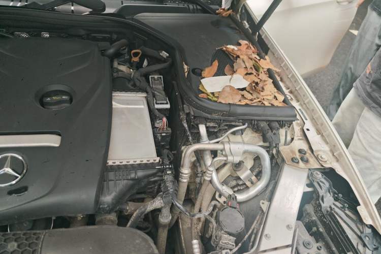 Used Mercedes-Benz E-Class 2019 E 300 L Sporty and Stylish Model Engine Bay Left