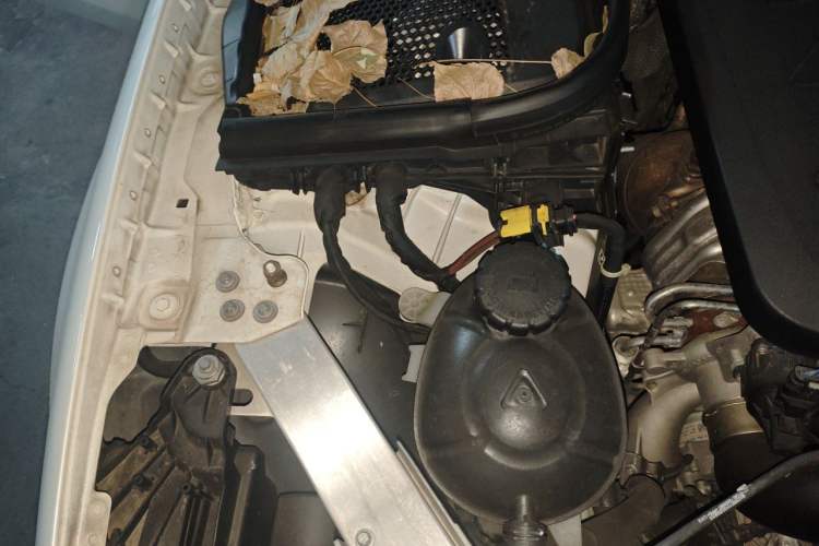 Used Mercedes-Benz E-Class 2019 E 260 L Sport Edition Engine Bay Right