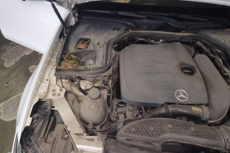 Used Mercedes-Benz E-Class 2019 E 260 L Sport 4MATIC Engine Bay Right