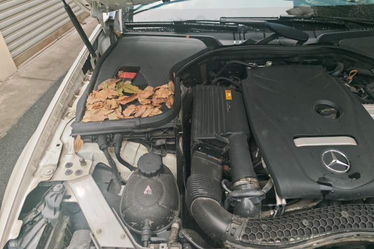 Used Mercedes-Benz E-Class 2019 E 300 L Sporty and Stylish Model Engine Bay Right