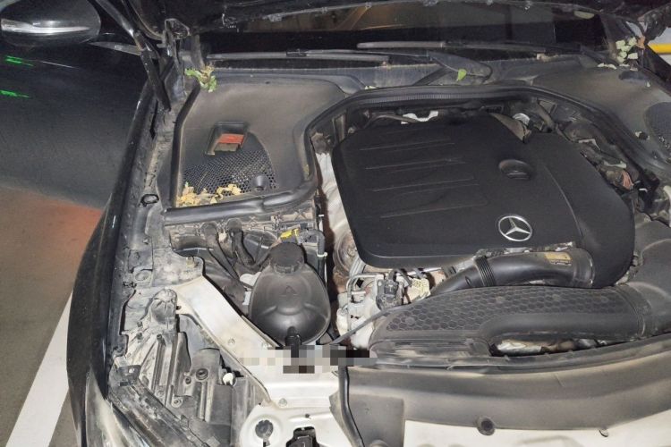 Used Mercedes-Benz E-Class 2020 E 260 L Engine Bay Right