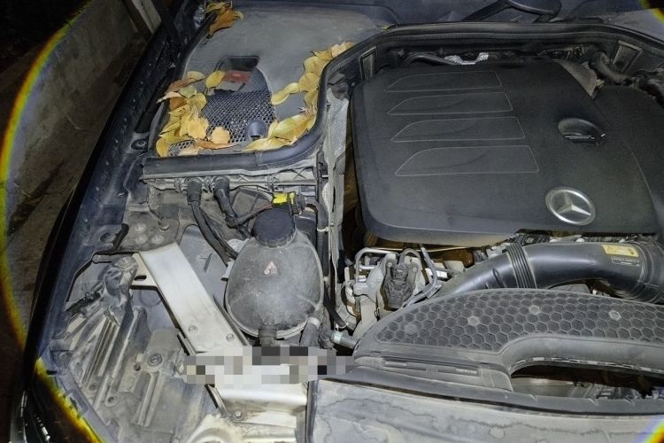 Used Mercedes-Benz E-Class 2020 E 300 L Sport Luxury Edition Engine Bay Right