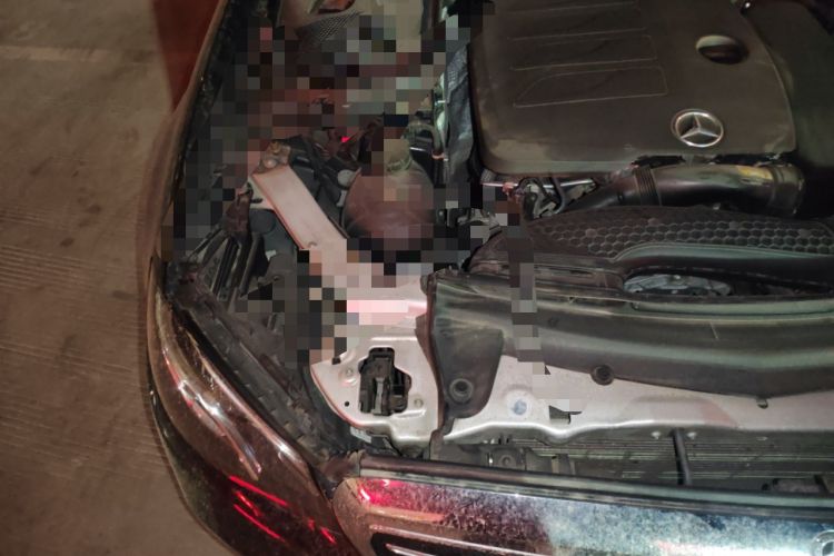 Used Mercedes-Benz E-Class 2020 E 260 L Engine Bay Right