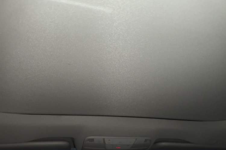 Used Mercedes-Benz E-Class 2020 E 300 L Luxury Model Headliner