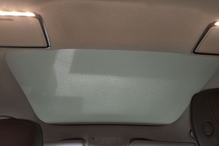 Used Mercedes-Benz E-Class 2020 E 300 L Luxury Model Headliner
