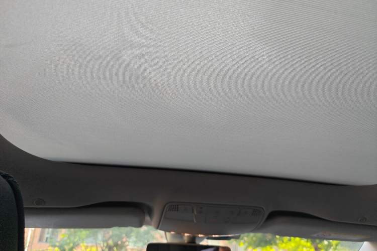 Used Mercedes-Benz E-Class 2020 E 300 L Luxury Model Headliner