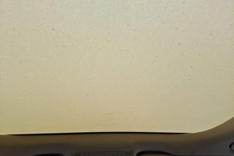 Used Mercedes-Benz E-Class 2020 E 300 L Luxury Model Headliner