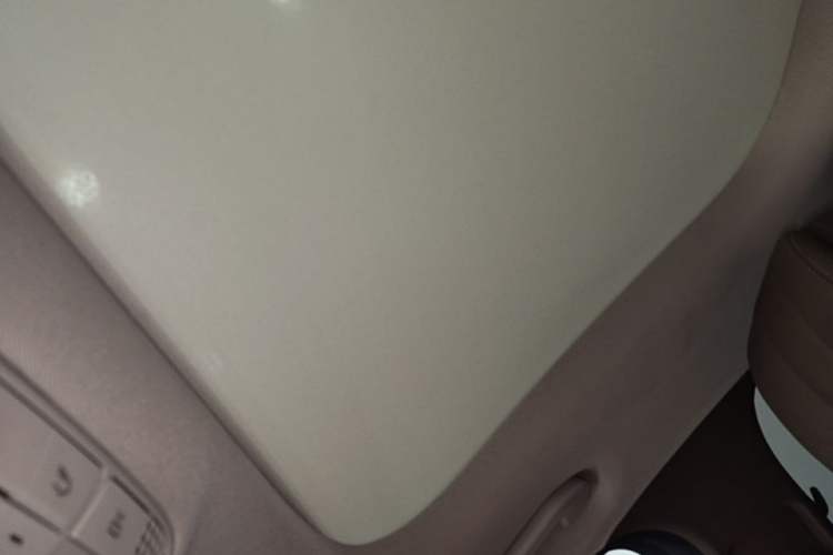 Used Mercedes-Benz E-Class 2020 Facelift E 300 L Stylish Edition Headliner