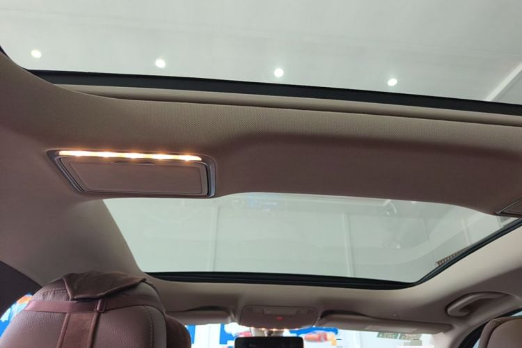 Used Mercedes-Benz E-Class 2020 E 300 L Luxury Model Headliner